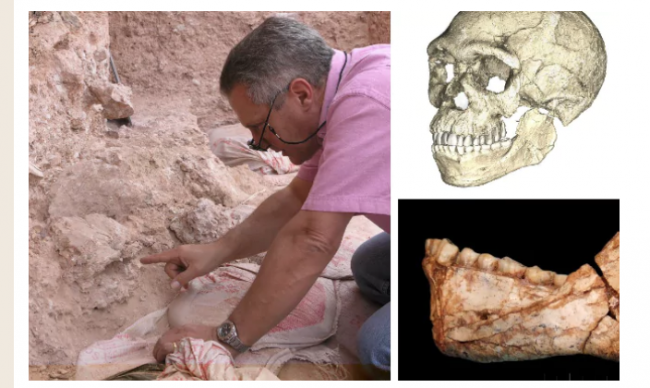 شرق أفريقيا لم يعد مهد البشر الأول.. اكتشاف آثار بـ”عين الحنش” الجزائرية عمرها 2.4 مليون سنة