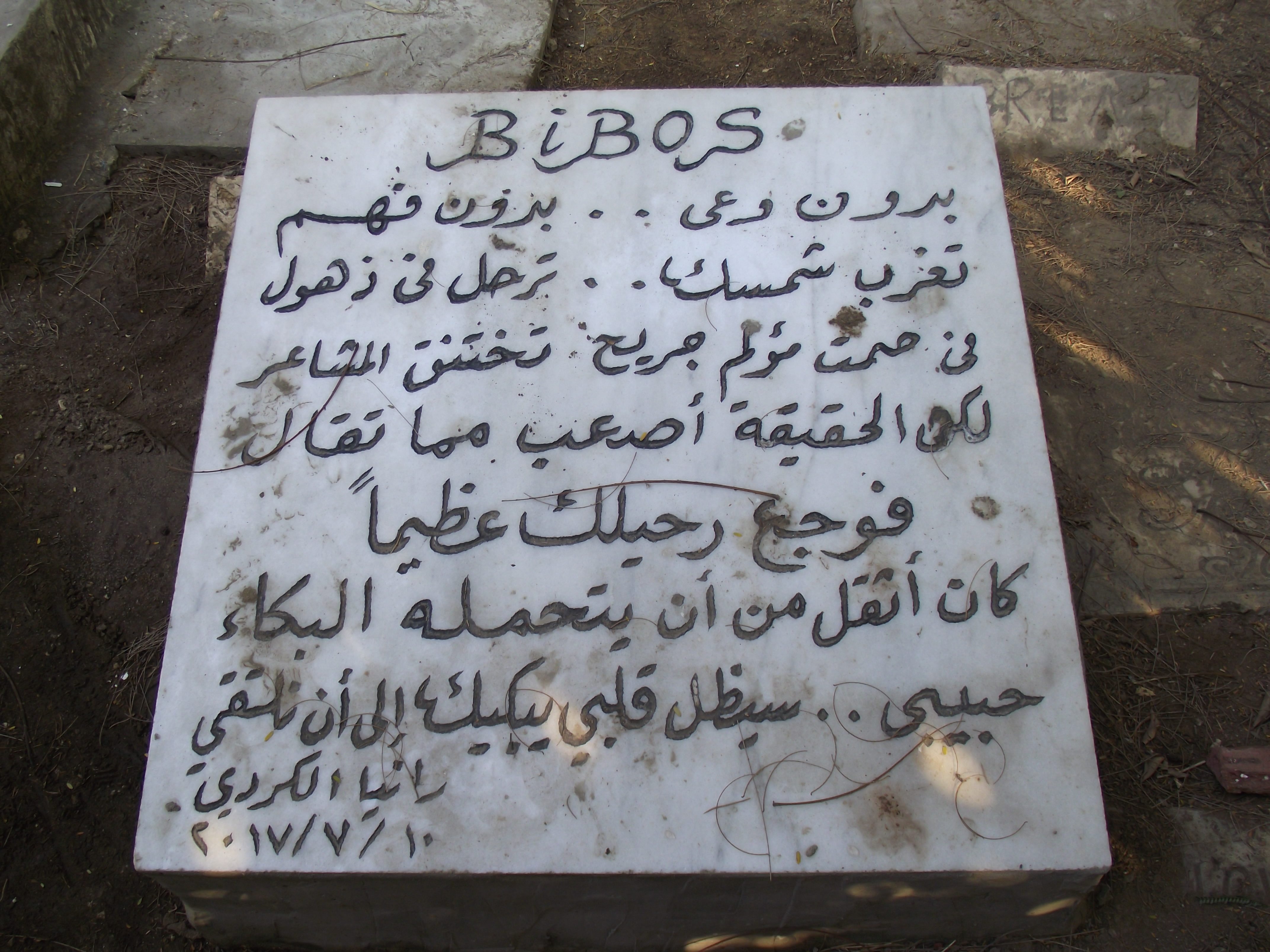 أشخاص دفنوا أكثر من كلب لهم في نادي الجزيرة / خاص