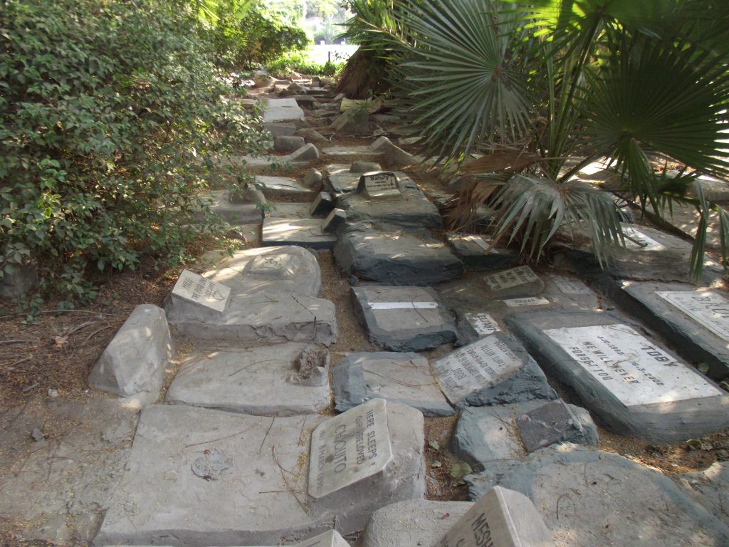 في نادي الجزيرة الراقي بالقاهرة توجد مقبرة الحيوانات الأليفة ، بين الأشجار، وعلى مساحة 60 متراً تقريباً انتشرت شواهد من الرخام الأبيض لنعي الكلاب والقطط.