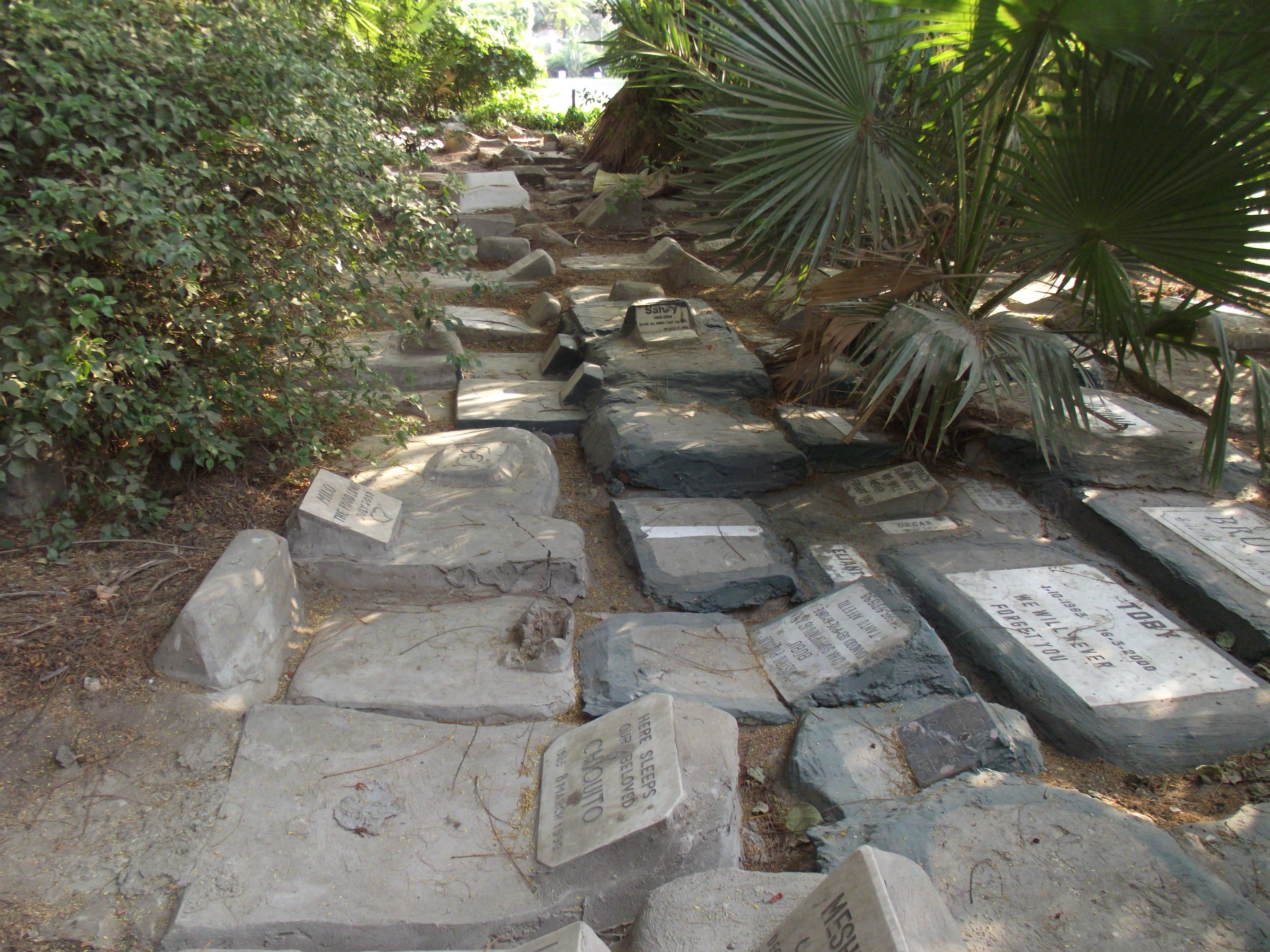 في نادي الجزيرة الراقي بالقاهرة توجد مقبرة الحيوانات الأليفة ، بين الأشجار، وعلى مساحة 60 متراً تقريباً انتشرت شواهد من الرخام الأبيض لنعي الكلاب والقطط.