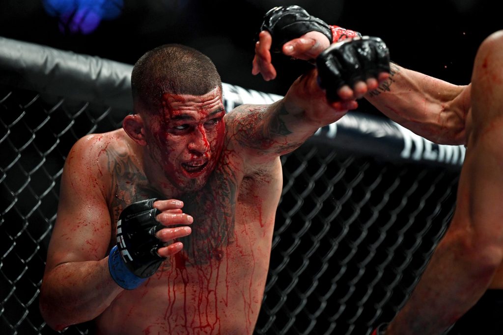 ملاكم أميركي يستفز حبيب نور محمدوف