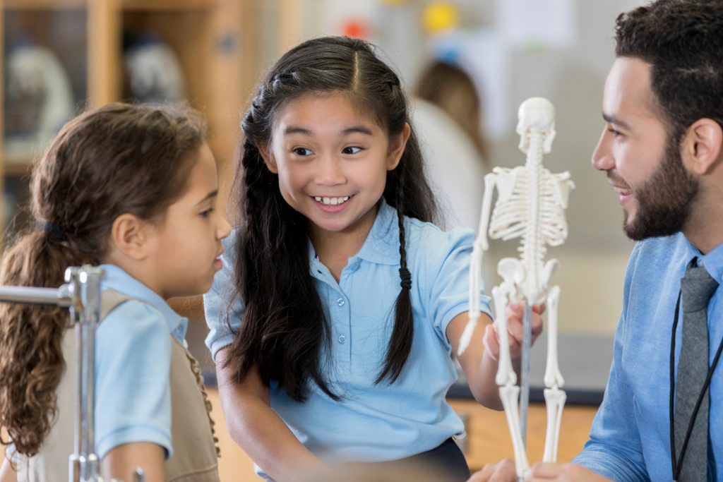 تحديد الجنس من الهيكل العظمي