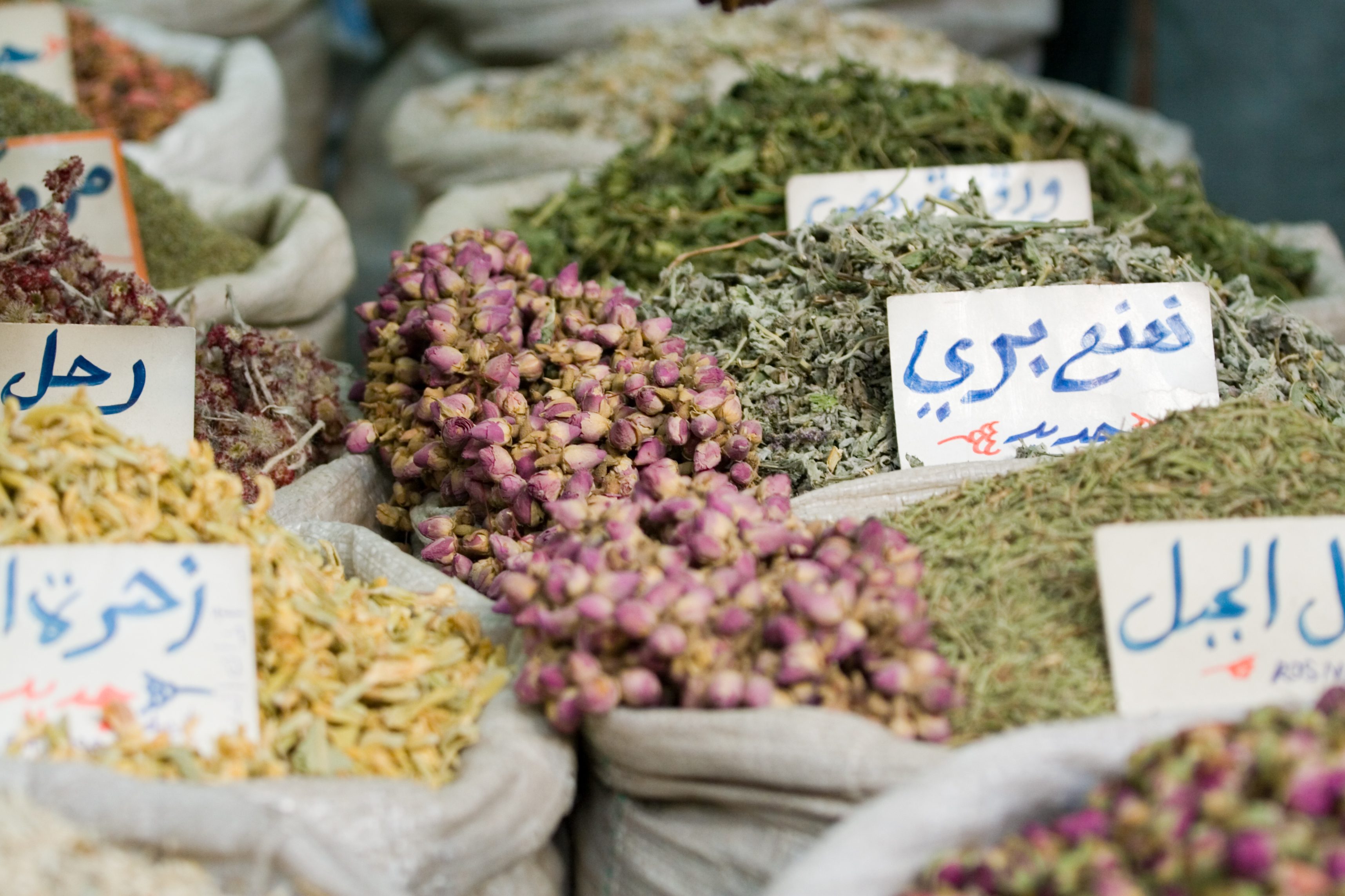 اللاجئون السوريون يفتقدون كثيراً من مكونات الطبخ التي تشتهر بها بلادهم/ISTOCK
