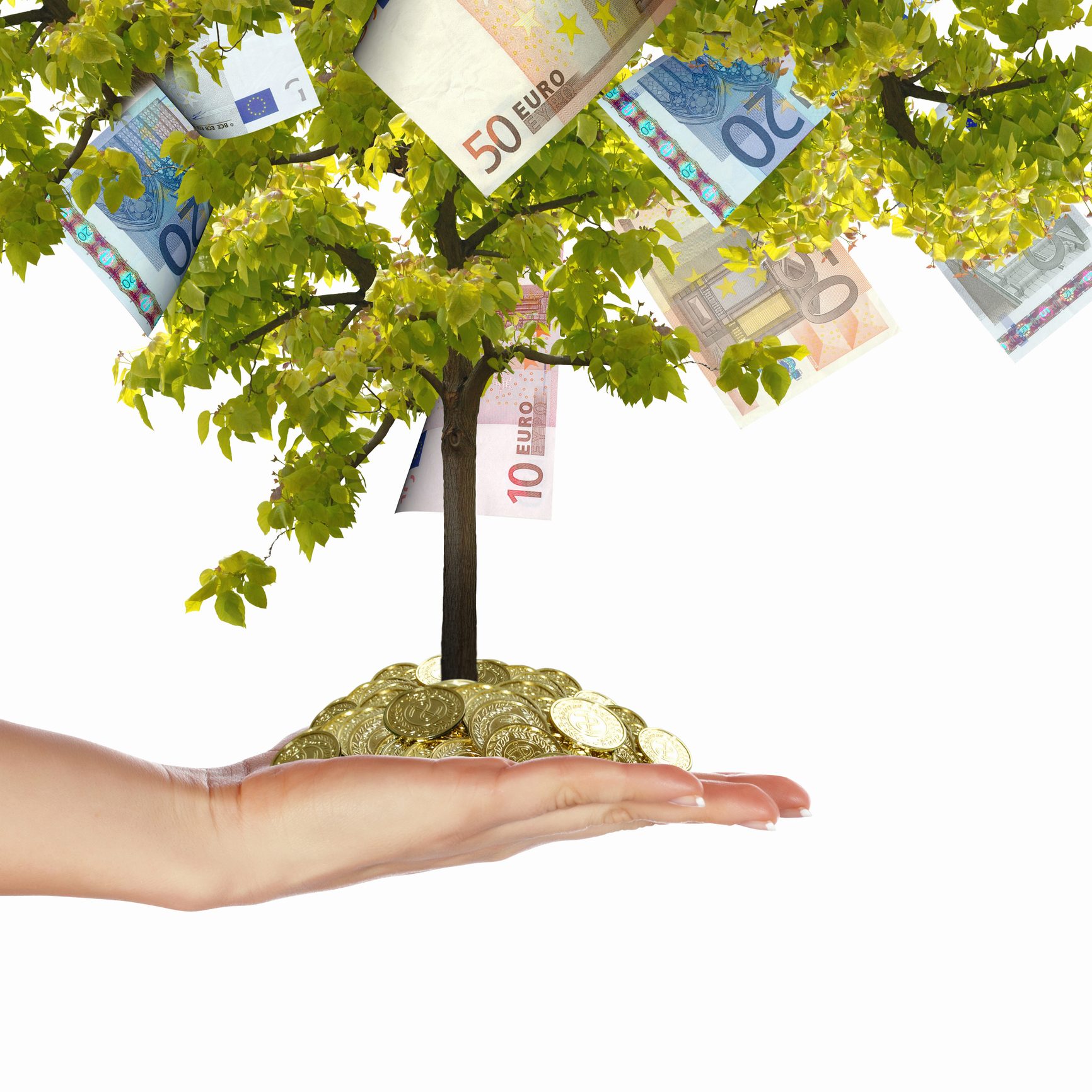 بإمكان السارقين قطف ثمارٍ من على الأشجار تبلغ قيمتها آلاف الدولارات / Istock