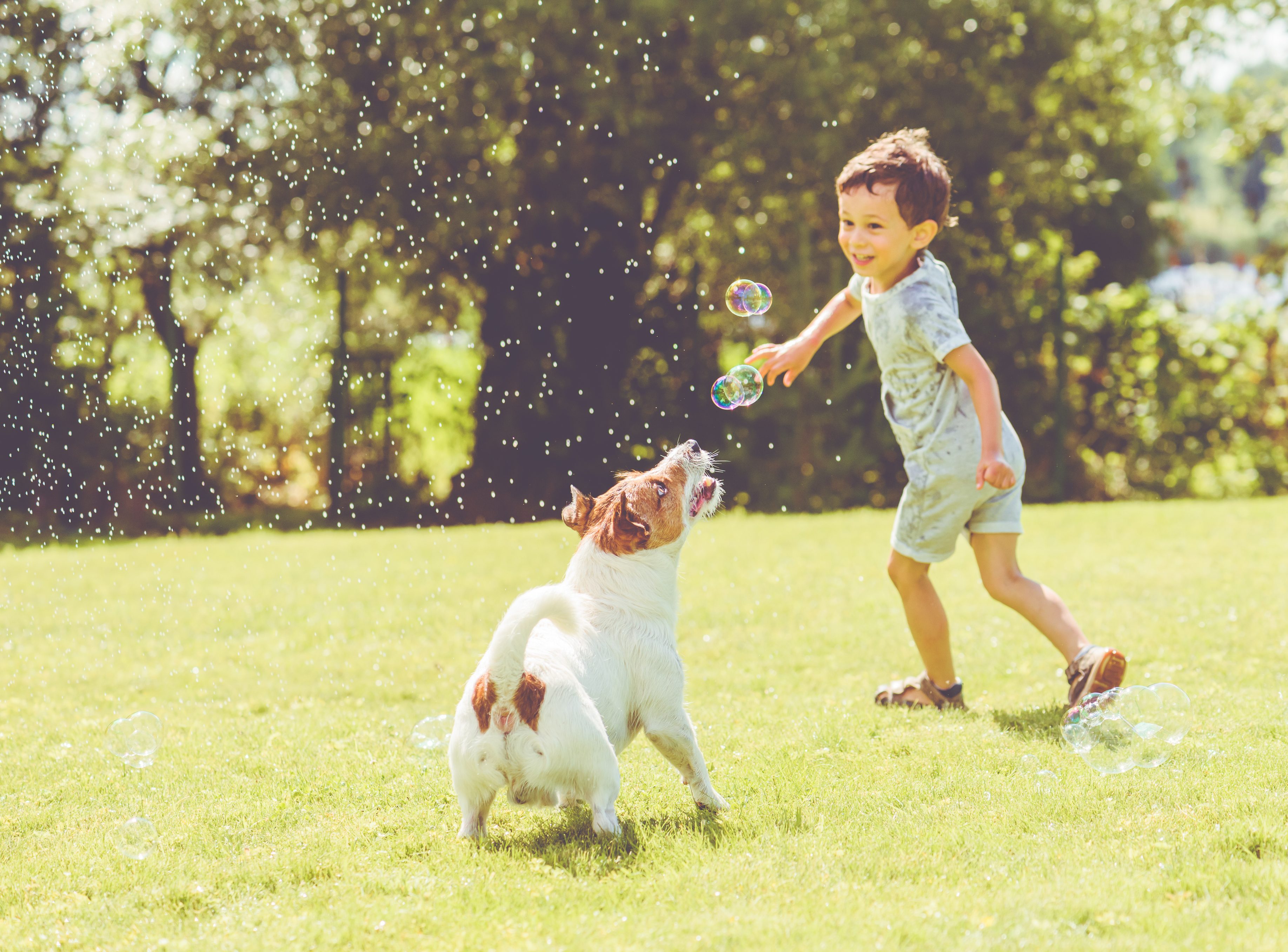 التواجد في الأماكن المفتوحة له تأثيرات إيجابية على العين/ISTOCK