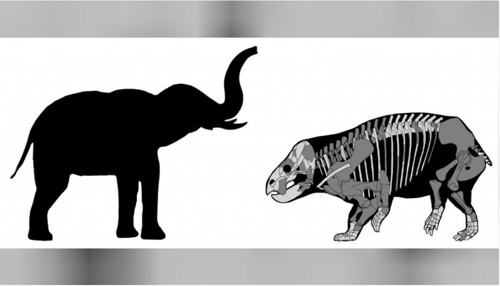كائنات أخرى كانت تعيش على الأرض في العصر الترياسي.. اكتشاف حفريات لكائن يشبه الفيل عاش مع الديناصورات