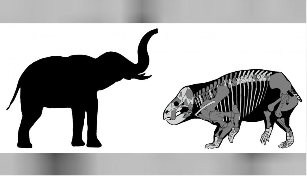 كائنات أخرى كانت تعيش على الأرض في العصر الترياسي.. اكتشاف حفريات لكائن يشبه الفيل عاش مع الديناصورات