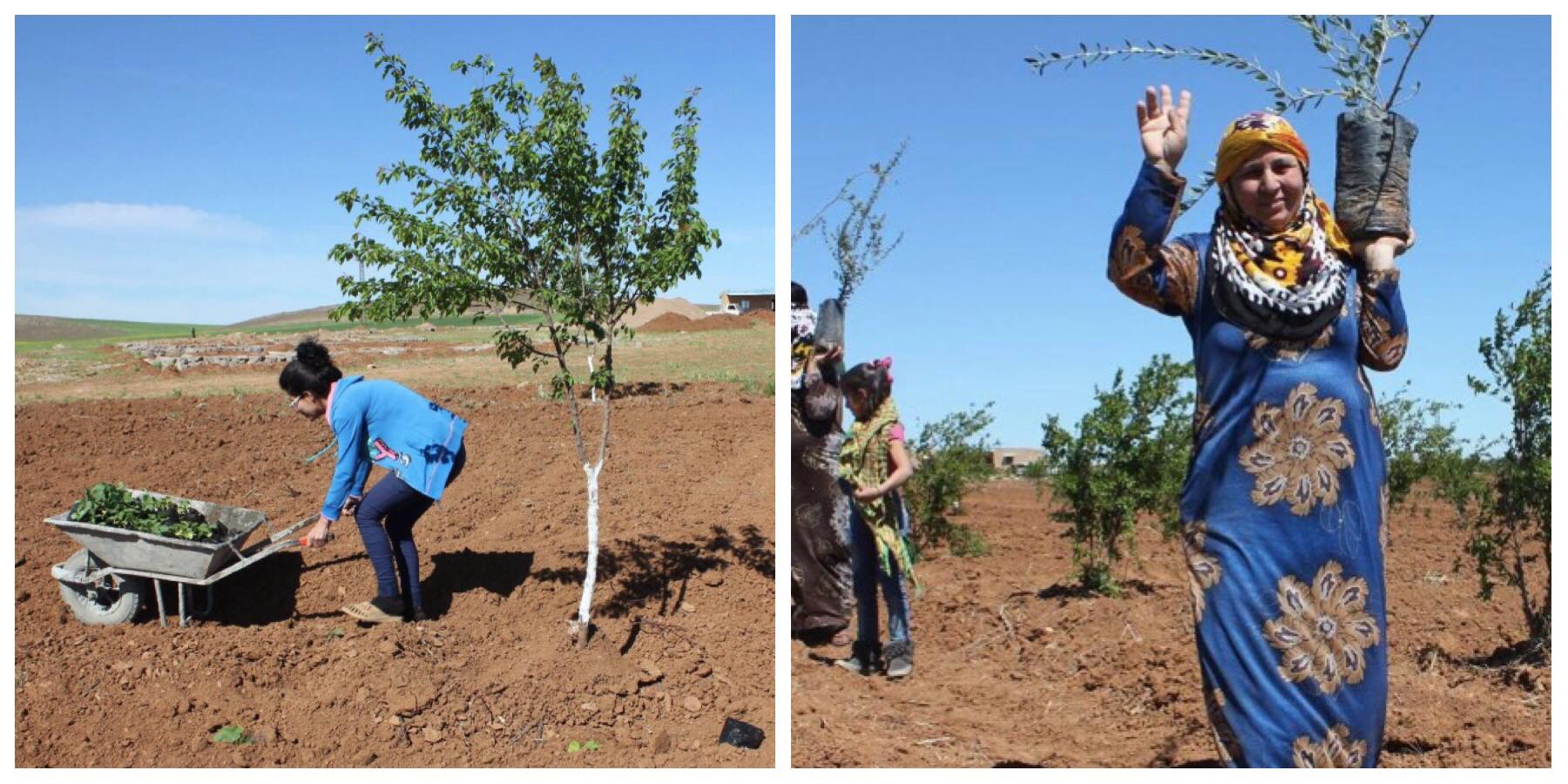 قرية النساء في سوريا