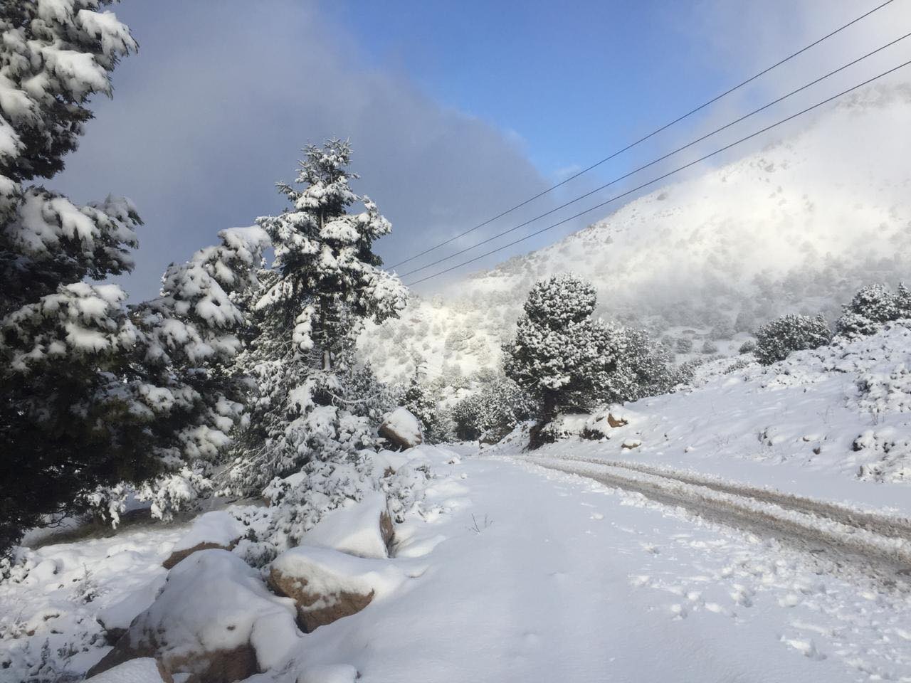 منخفض جوي في دول بلاد الشام