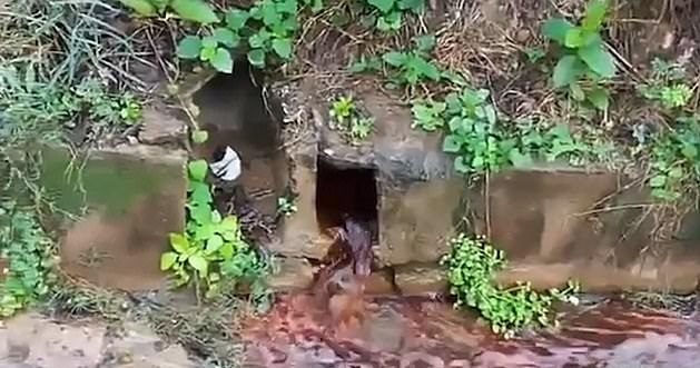 عمليات تعذيب في بوروندي