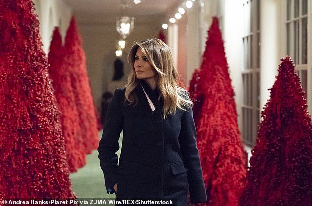 سرقة التوت البري من البيت الأبيض