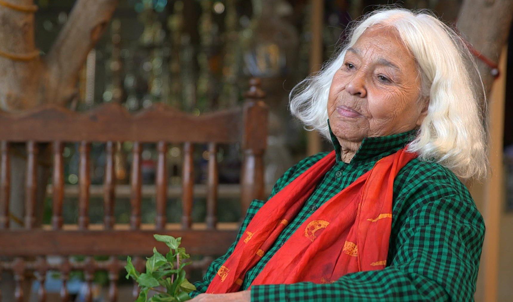 العلمانيين في مصر نوال السعداوي السعودية