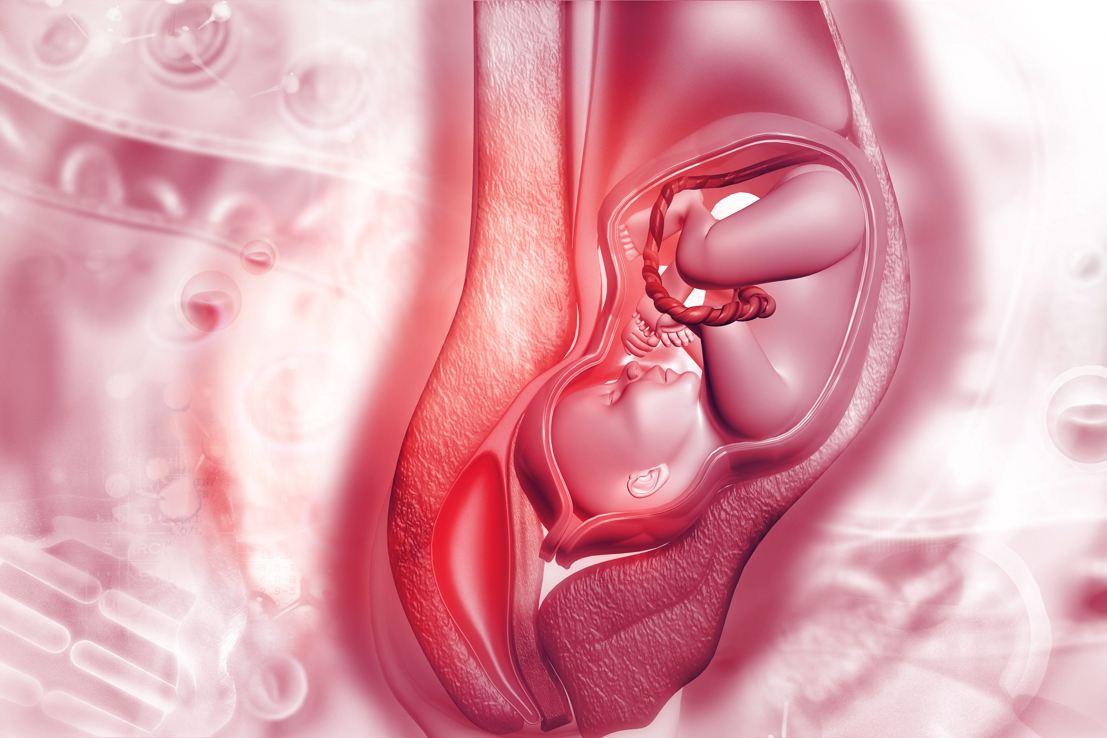 جين يشارك في تحديد جنس الطفل