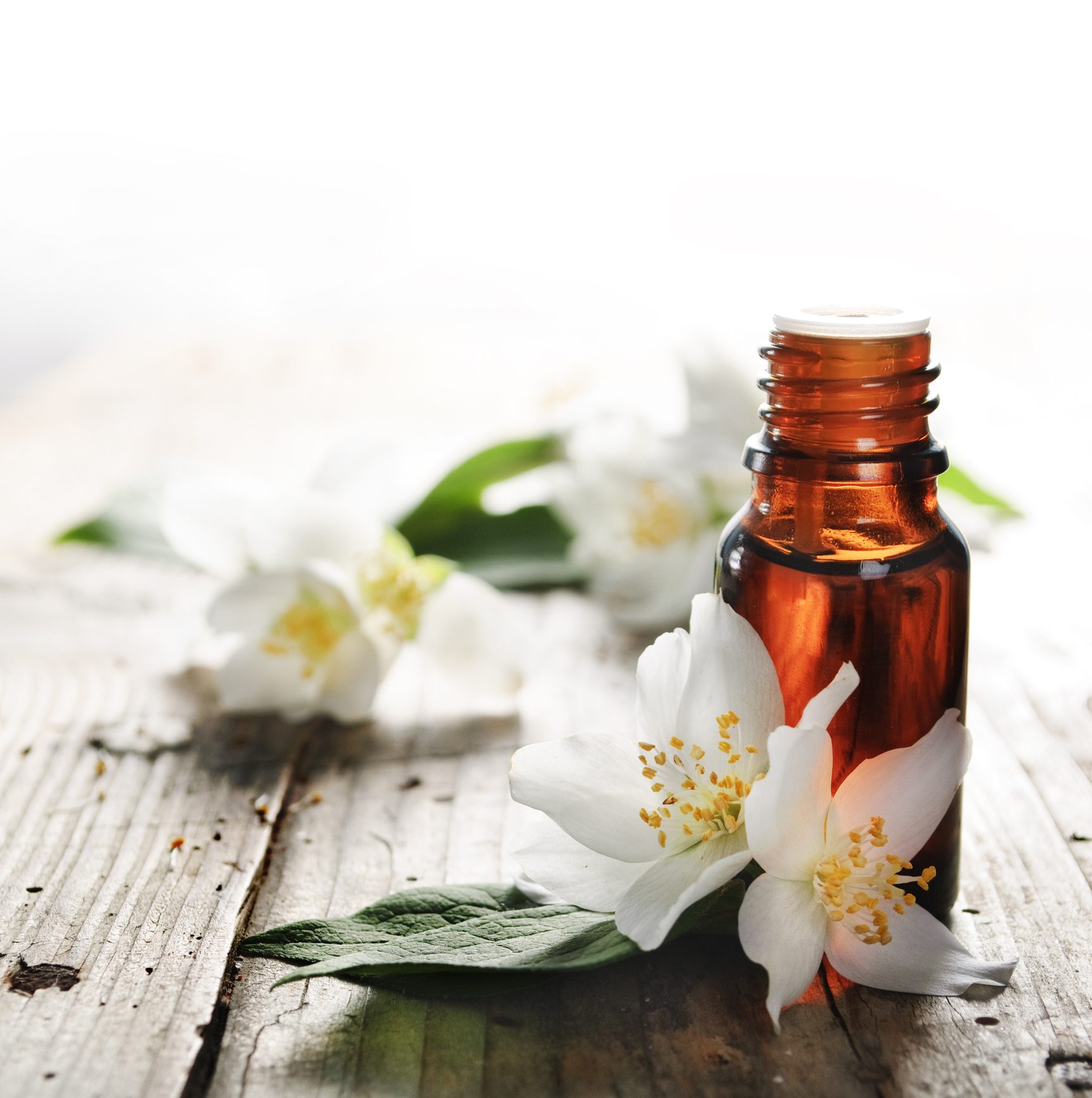 مستخلص زيت الياسمين / iStock