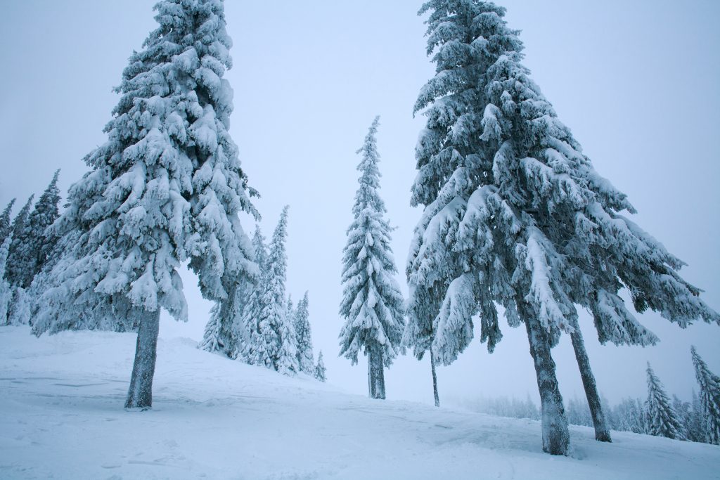 هل تشهد الأرض عصراً جليدياً جديداً؟