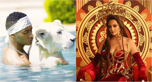 «محصلش رقم سبعين»، و«ملك الغابة لدغته كوبرا».. بشرى «تقصف جبهة» محمد رمضان بأغنية ساخرة تحصد مئات آلاف المشاهدات.. كيف رد «الأسطورة»؟