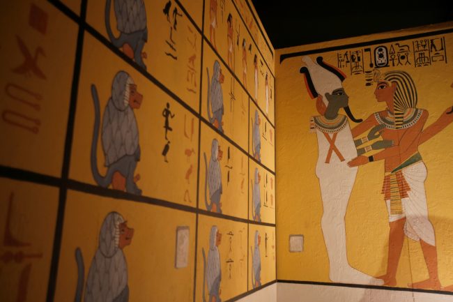 افتتاح مقبرة الملك توت عنخ آمون في وادي الملوك للجمهور