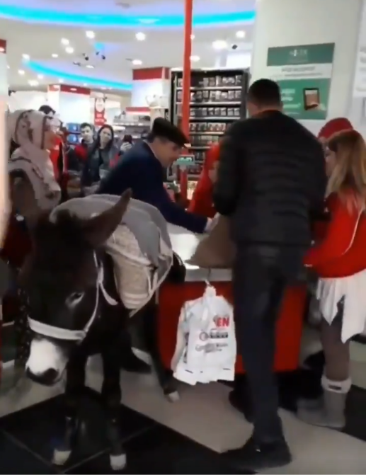 مواطن تركي يصطحب حماره خلال التسوق