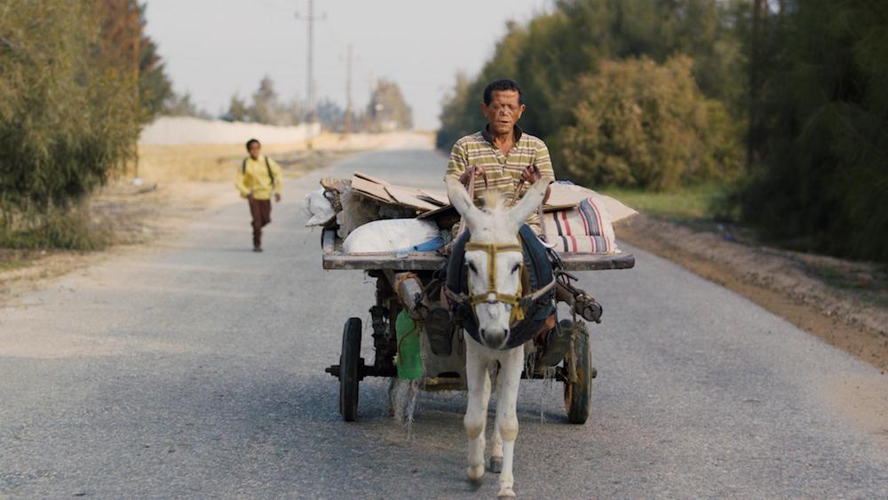 السينما المستقلة في مصر