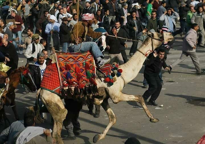 بعض أهالي نزلة السمان شاركوا في محاولة إجهاض ثورة يناير التي عرفت بمعركة الجمل/مواقع التواصل