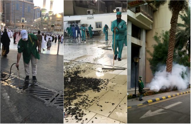 لم يكن جراداً.. أعداد هائلة من الحشرات «غير المألوفة» تغزو الحرم المكي، وإمارة المدينة المقدسة توضح