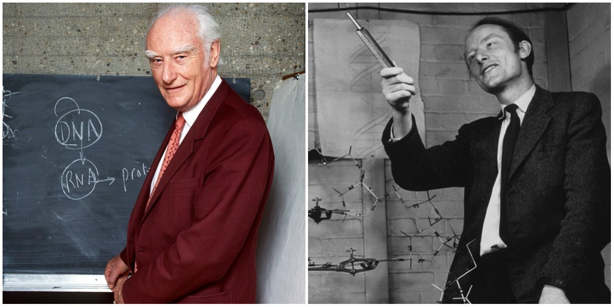 العالم الشهير "جيمس واتسون" الحاصل على جائزة نوبل للسلام