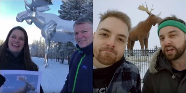 «فك الأيل» يتسبب بأزمة بين النرويج وكندا.. والأخيرة تتهمها بالإساءة «السافرة»