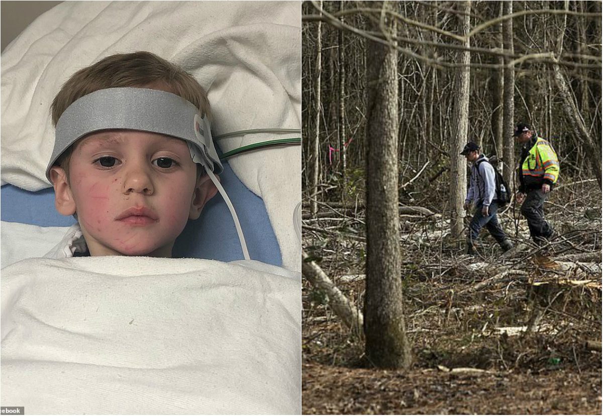 طفل يتوه في غابة