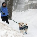 موجة صقيع في أمريكا لم تشهدها منذ 25 عاماً