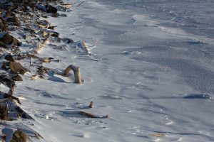 موجة صقيع في أمريكا لم تشهدها منذ 25 عاماً