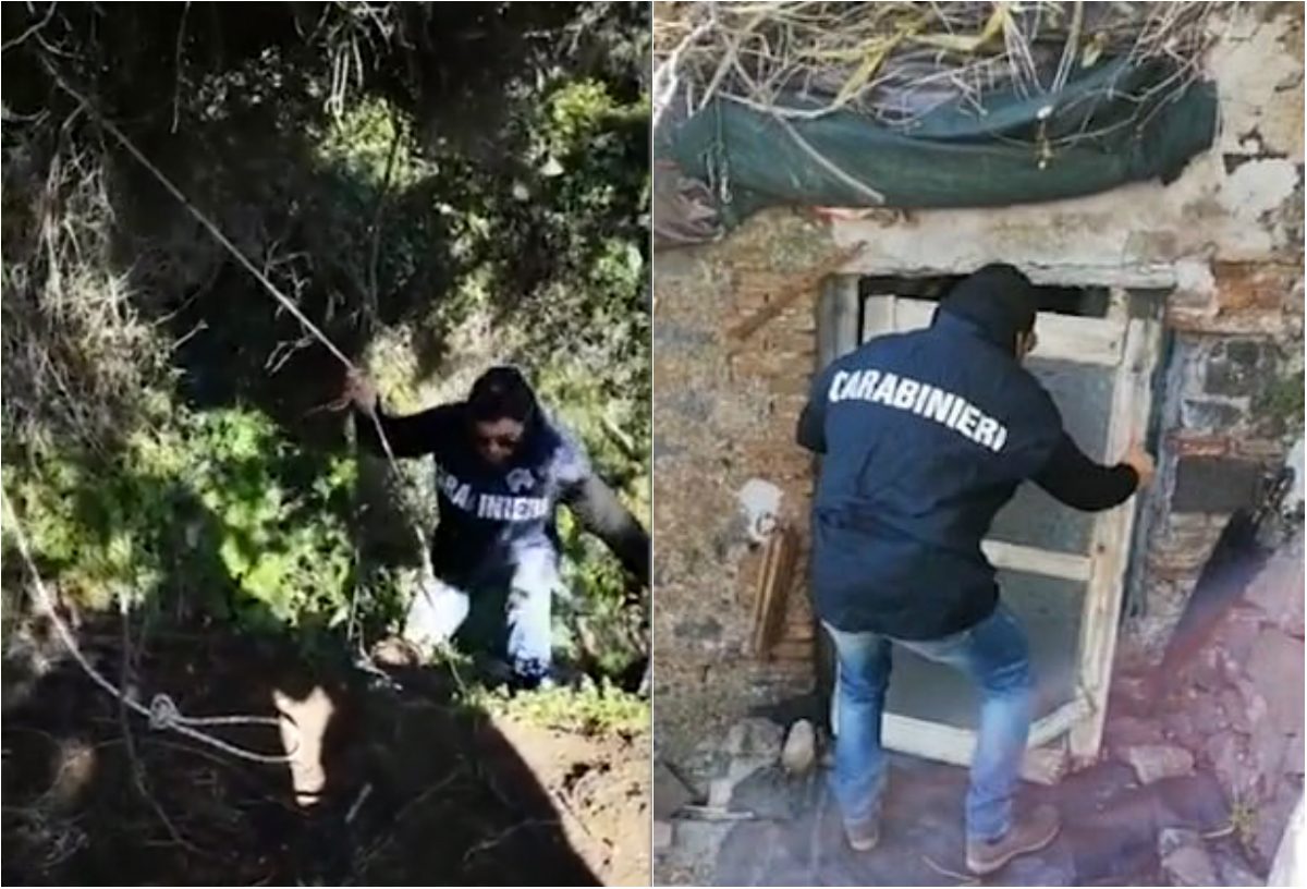 طرزان إيطاليا