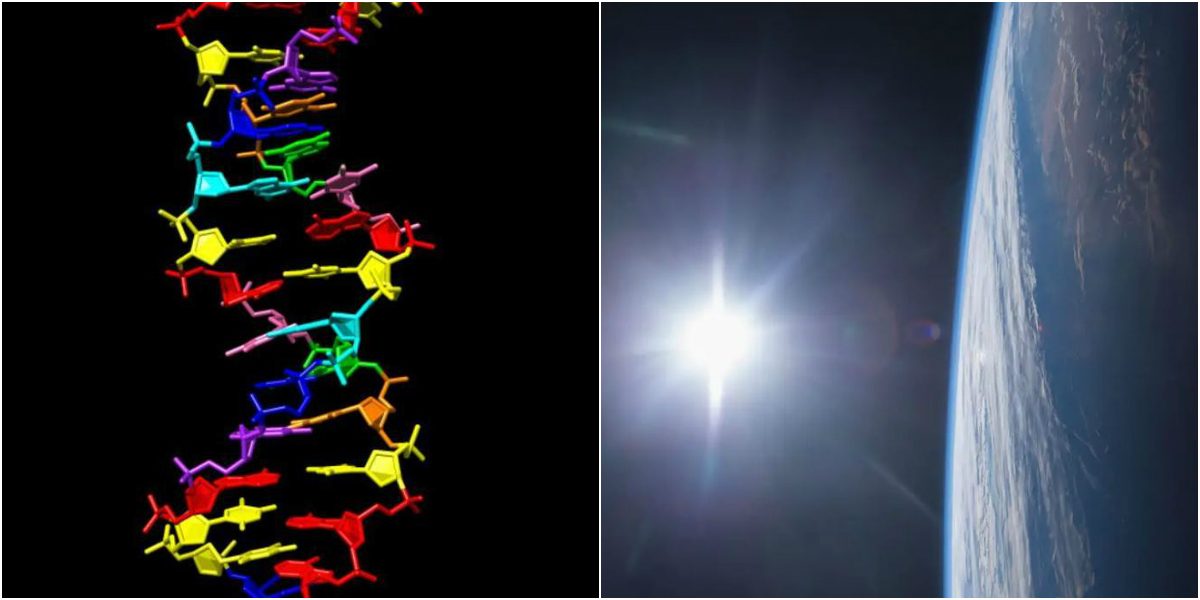 ناسا تكتشف شكلاً جديداً للحمض النووي أثناء أبحاثها عن الحياة خارج الأرض