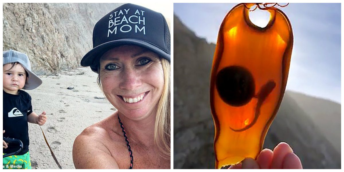 أم تعثر على حقيبة بيضة قرش لم تفقس بعد والجنين يتأرجح داخلها