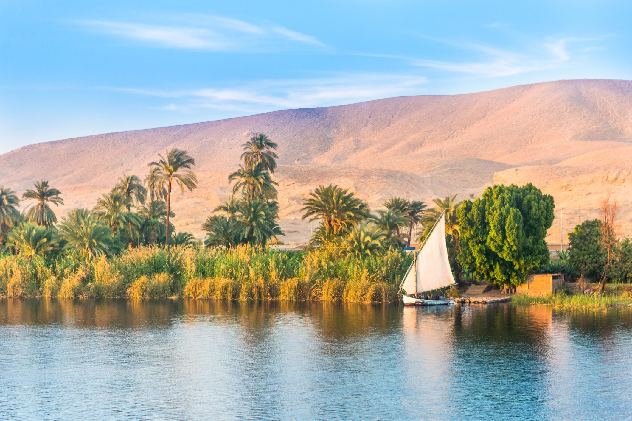 النيل - أسوان