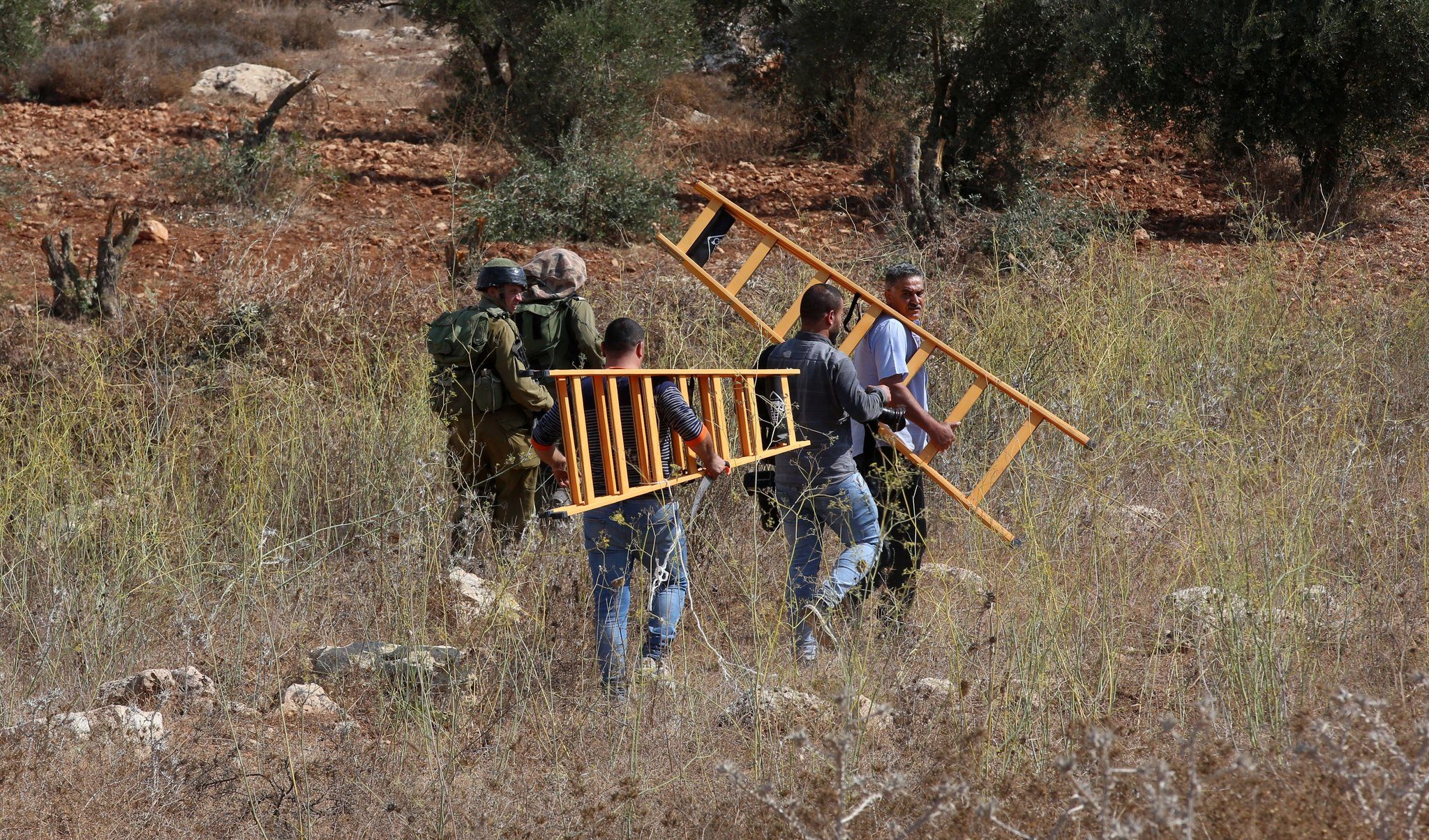يتوجه المزارعون الفلسطينيون إلى بساتين الزيتون تحت أعين الجنود الإسرائيليين للحد من المواجهة مع المستوطنين بالضفة الغربية