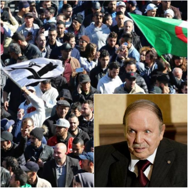 حساب بوتفليقة على فيسبوك ينتعش من جديد برسالة تستفز الجزائريين