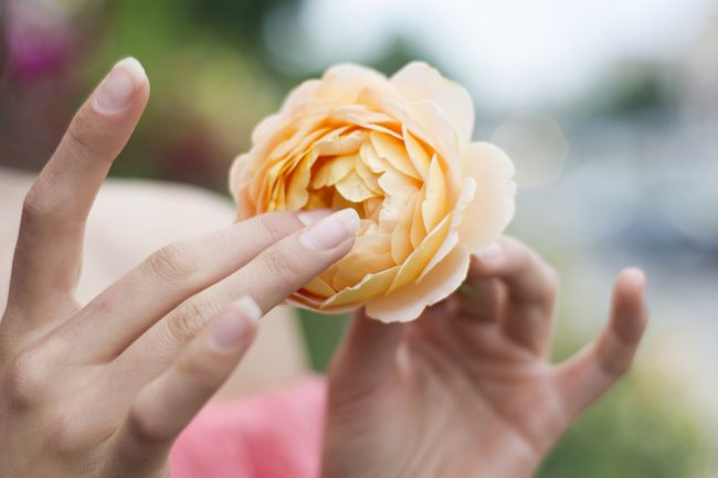 ينظف نفسه تلقائياً ونوعية الطعام تؤثر فيه.. هذه أهم 10 حقائق ينبغي أن تعرفها كل امرأة عن المهبل