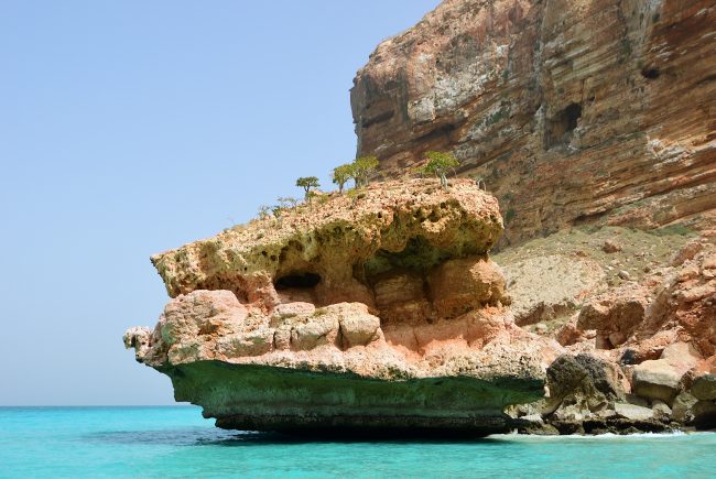 سقطرى اليمنية.. لماذا سُميت «أغرب مكان في العالم»؟