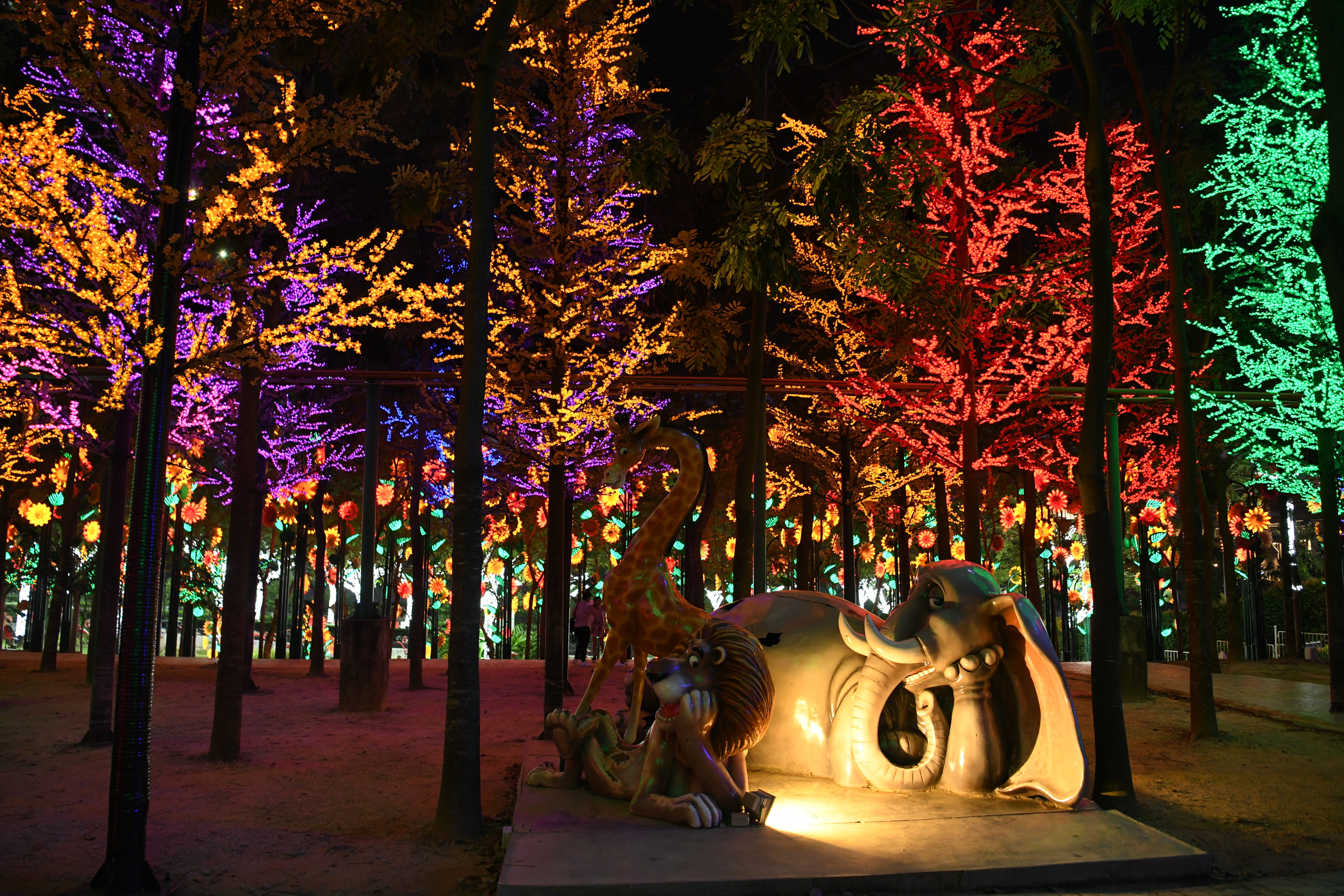 القادمين إلى ماليزيا