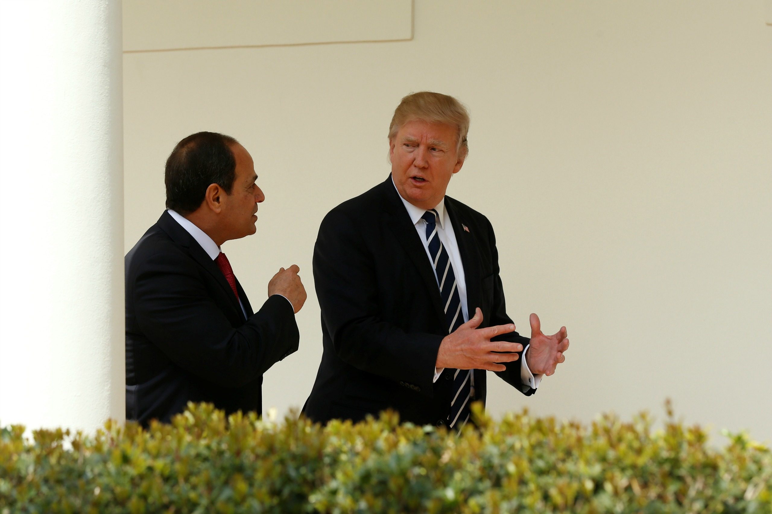 الرئيس المصري عبدالفتاح السيسي والرئيس الأمريكي دونالد ترامب