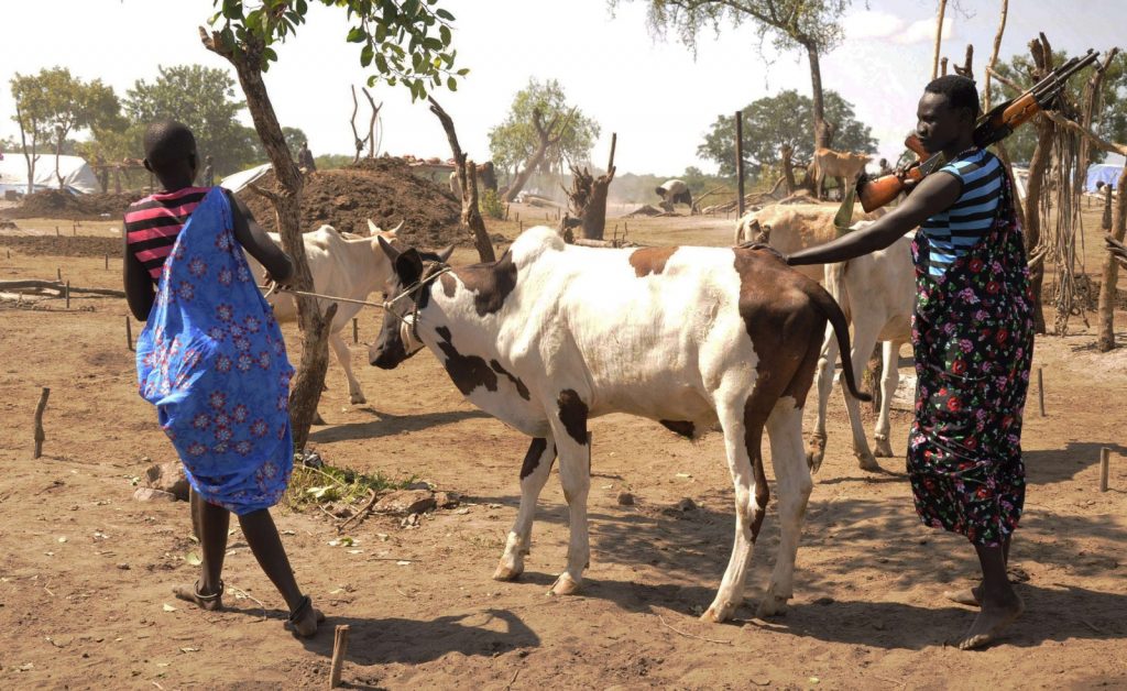 الزواج الزواج القسري جنوب السودان
