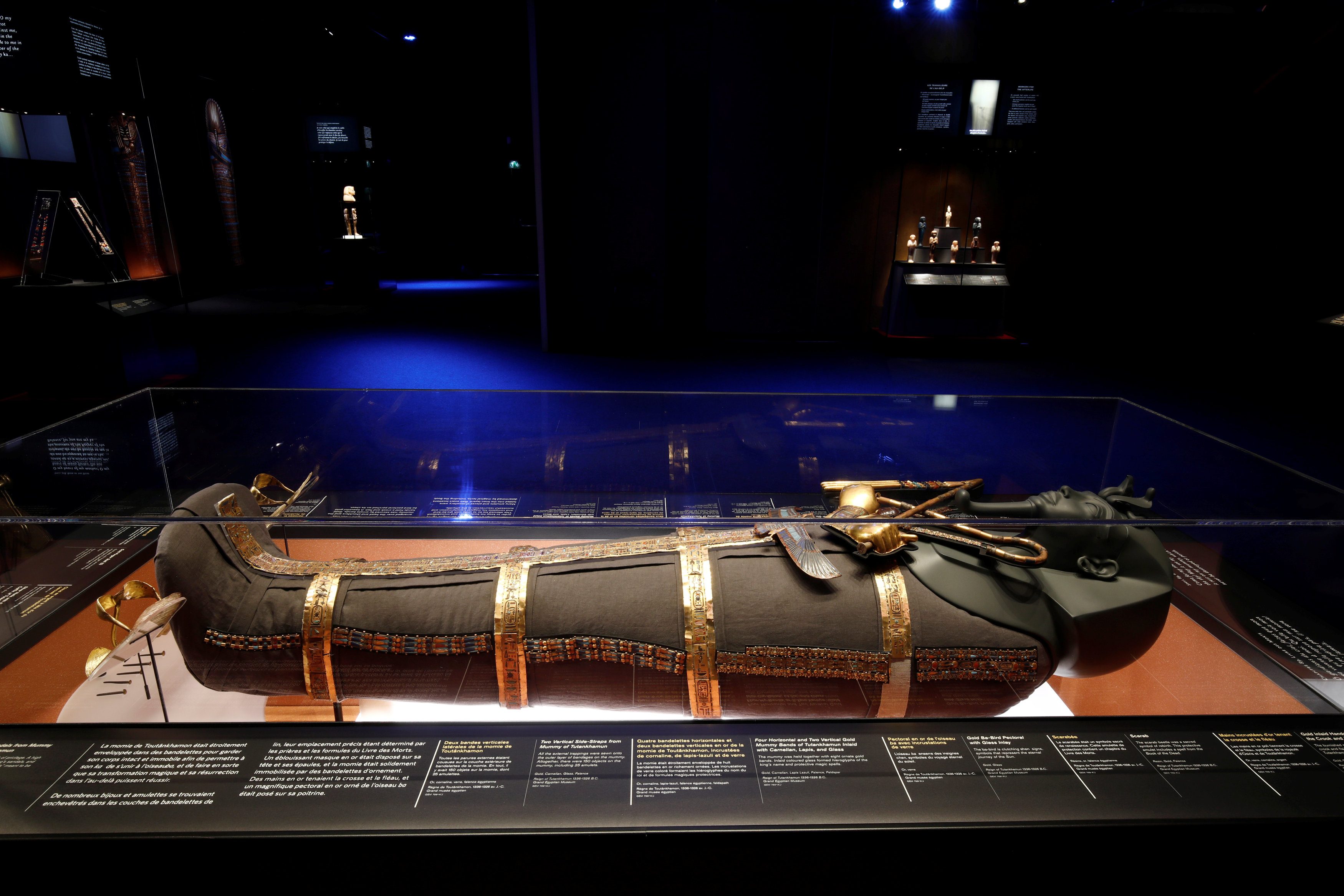 مومياء متاحف