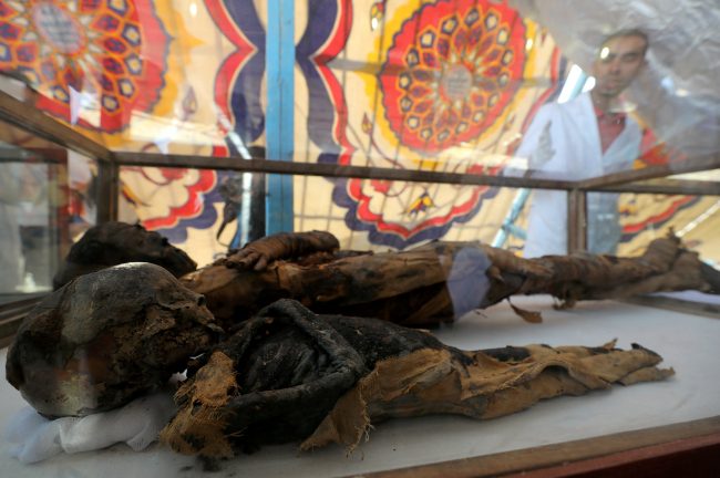 العثور على حيوانات محنَّطة في مقبرة مصرية مُكتشفة حديثاً