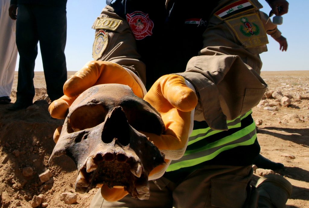 رجل من الدفاع المدني العراقي يحمل جمجمة أحد ضحايا المقبرة المكتشفة