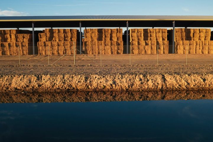 حظائر التخزين في شركة Fondomonte Farms وخندق مائي للري في بلايث/ الغارديان