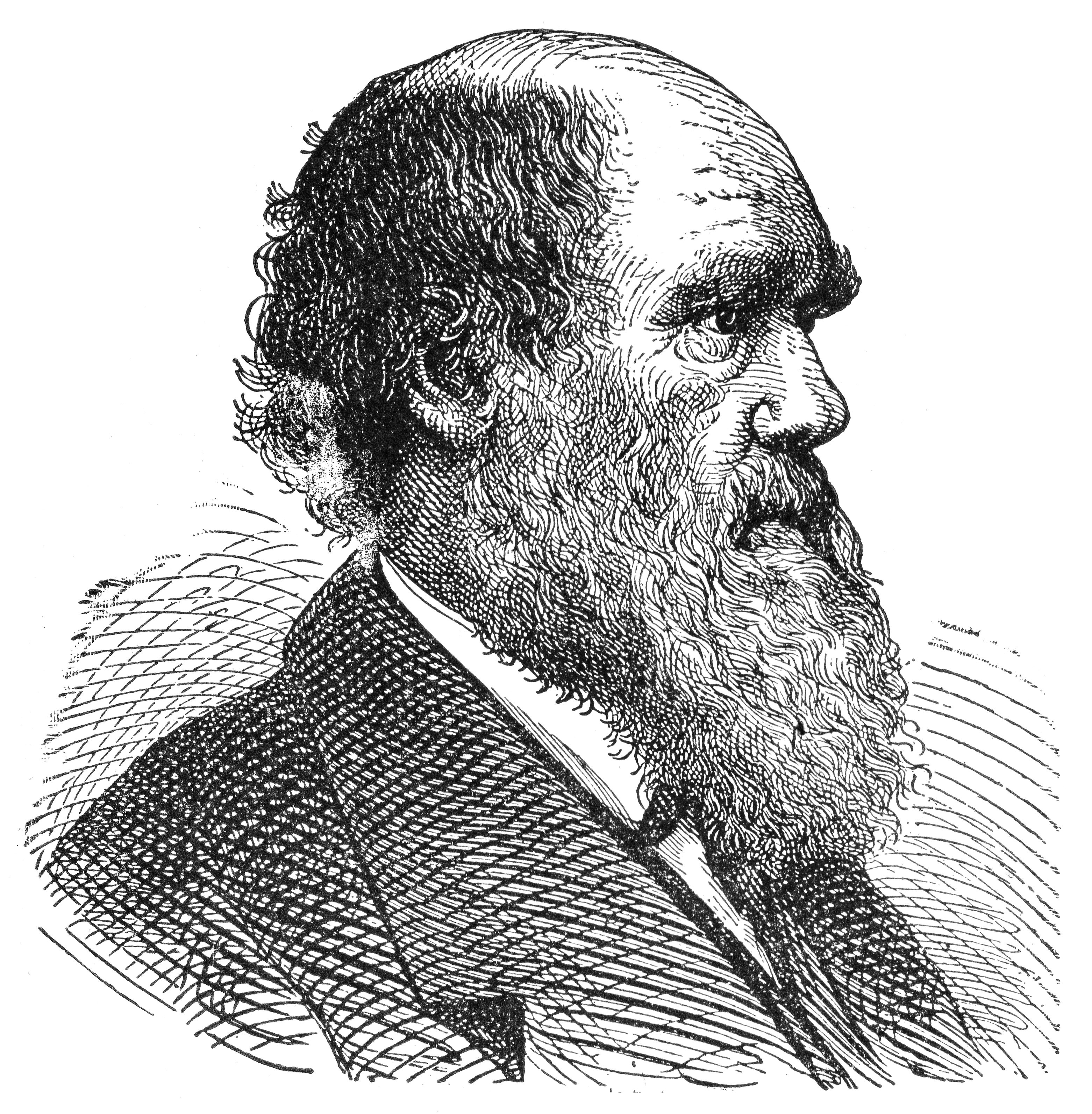 شخصيات شهيرة قاموا بأعمال رائعة في مجالات أخرى