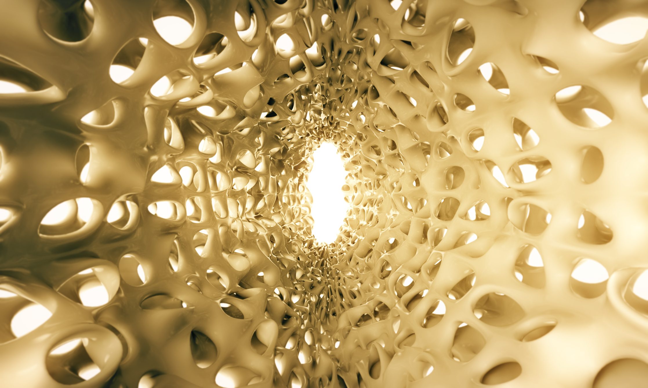 تعرف  على هشاشة العظام وكيف يمكن الوقاية منها