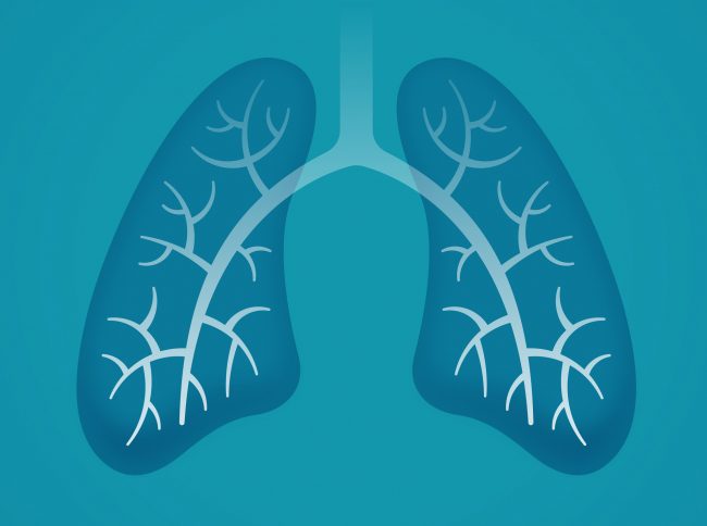 تعرّف على بعض الأغذية التي تحافظ على صحة الرئتين