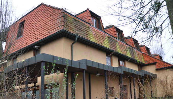 السوري رمي زوجته