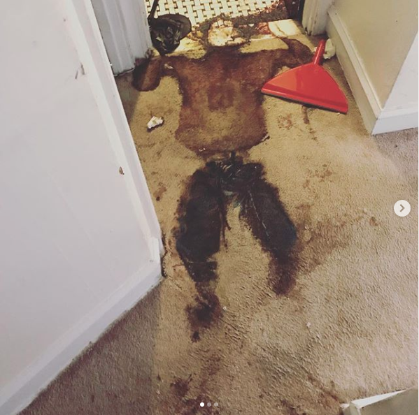 صورة من إنستغرام